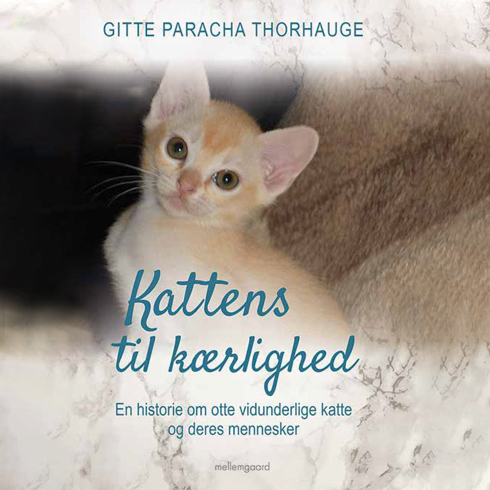 Kattens til kærlighed - En historie om otte vidunderlige katte og deres mennesker
