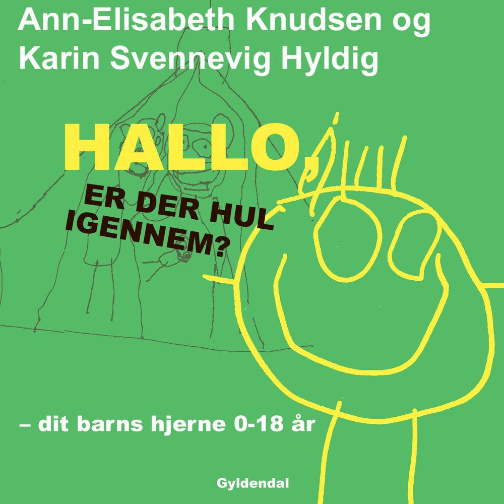 Hallo - er der hul igennem?