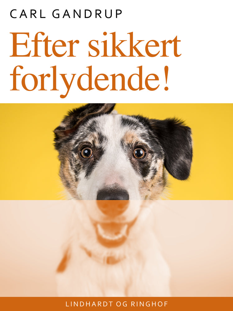 Efter sikkert forlydende!