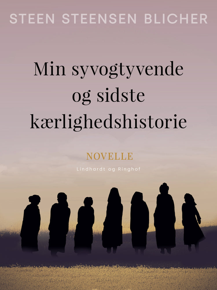 Min syvogtyvende og sidste kærlighedshistorie