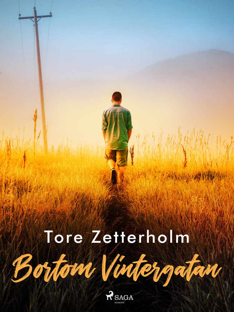 Bortom Vintergatan