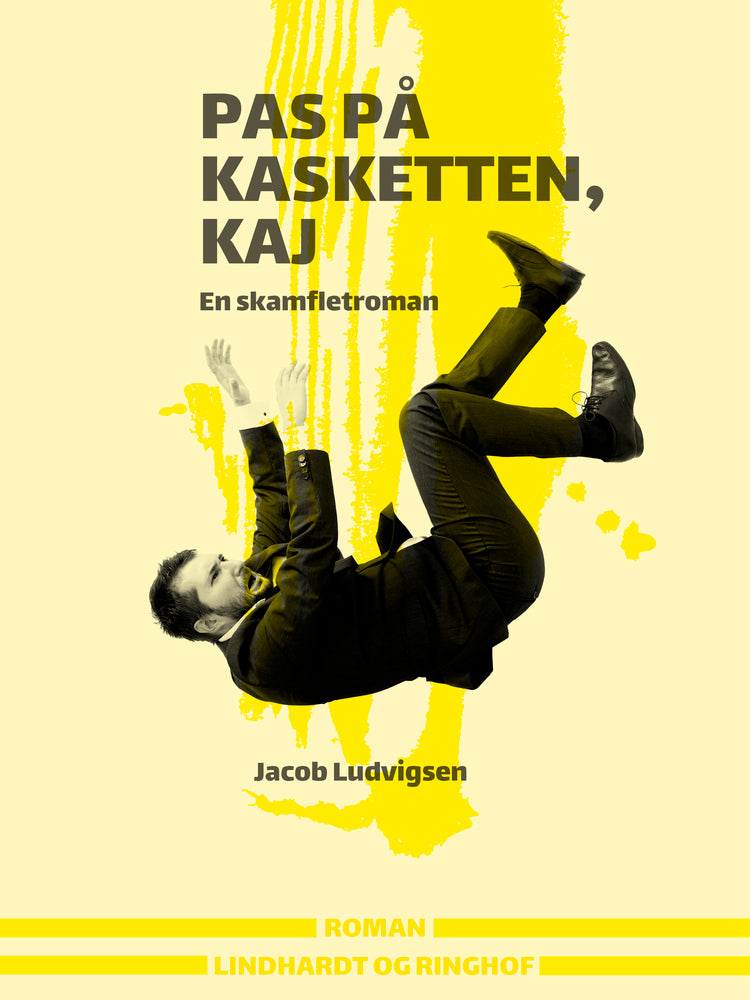 Pas på kasketten, Kaj. En skamfletroman