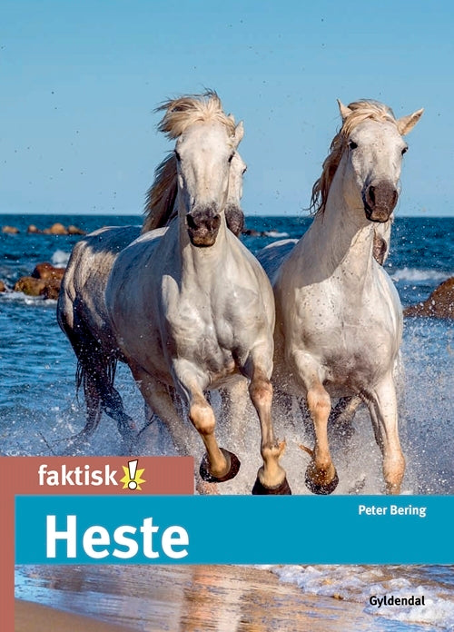 Heste