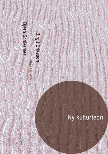 Ny kulturteori