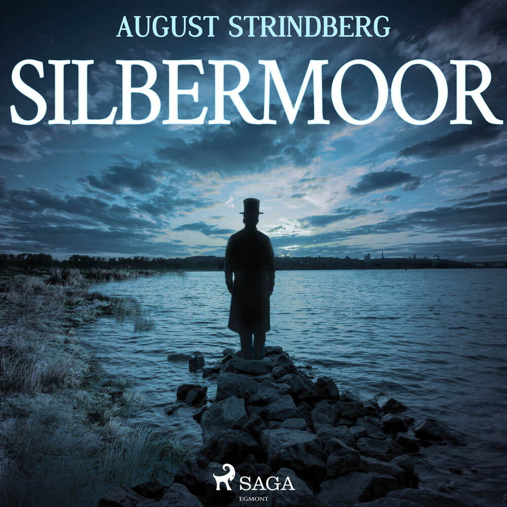 Das Silbermoor