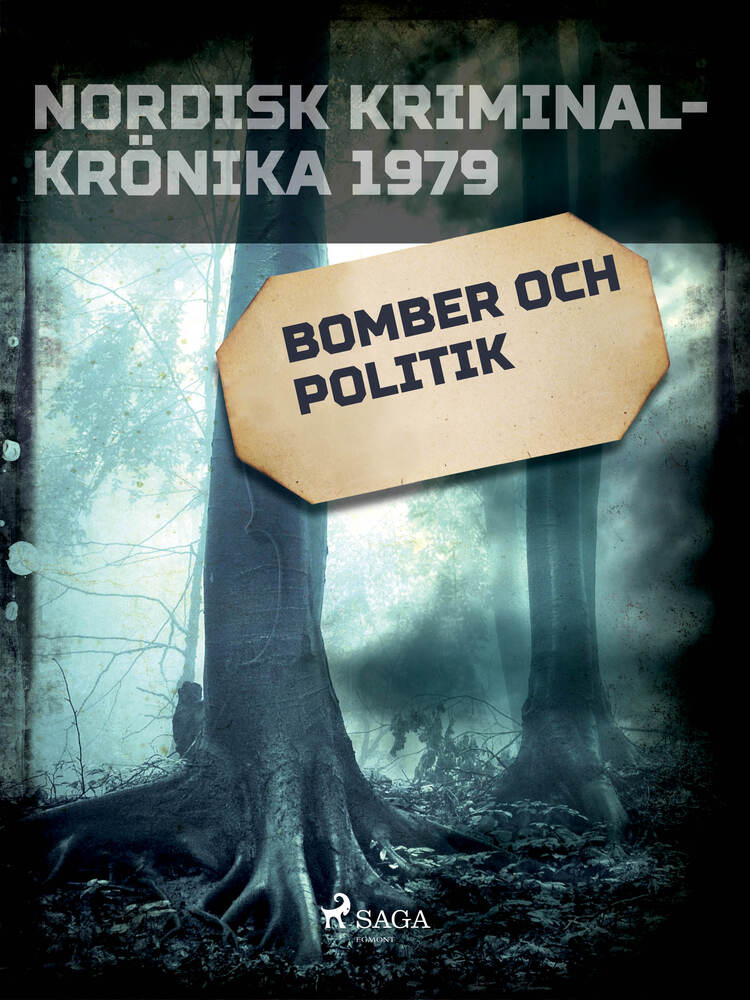 Bomber och politik