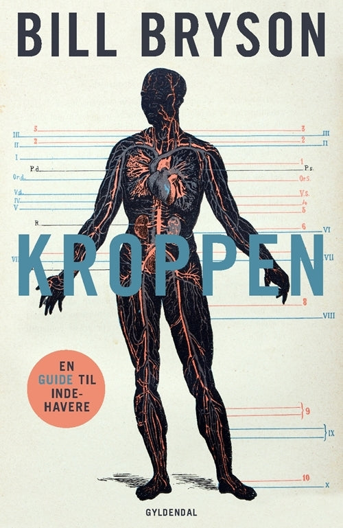 D1 Kroppen
