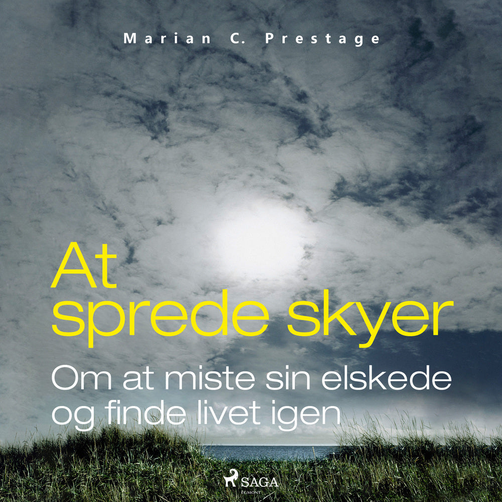 At sprede skyer - om at miste sin elskede og finde livet igen