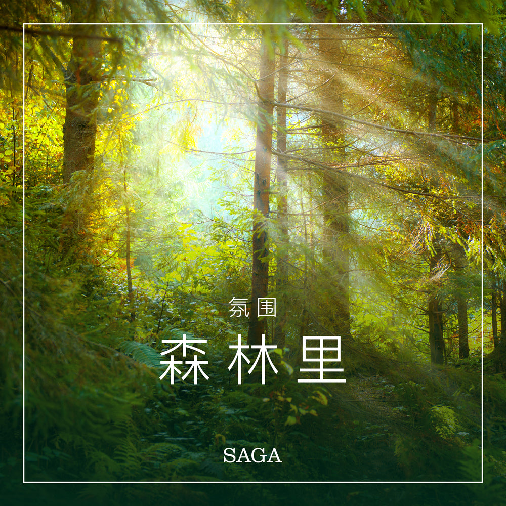 氛围——森林里