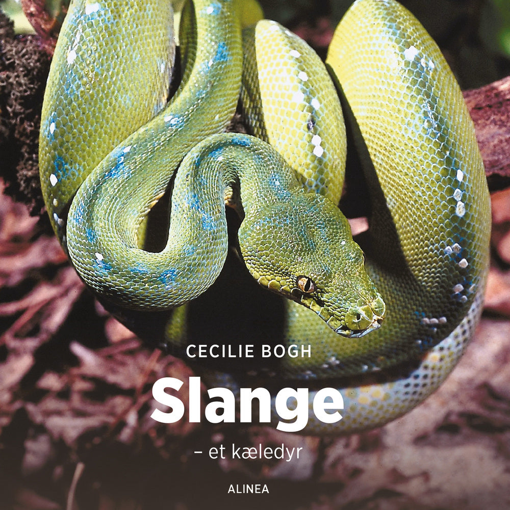 Slange - et kæledyr