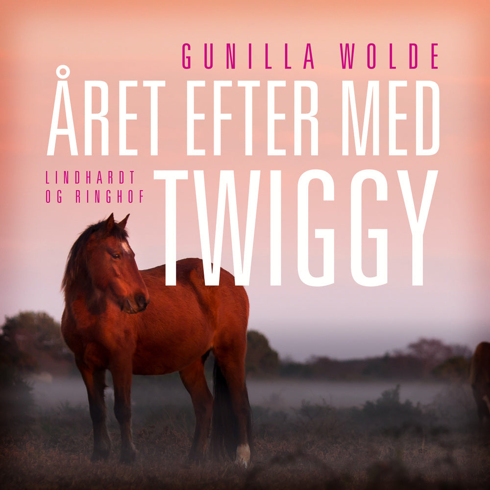 Året efter med Twiggy