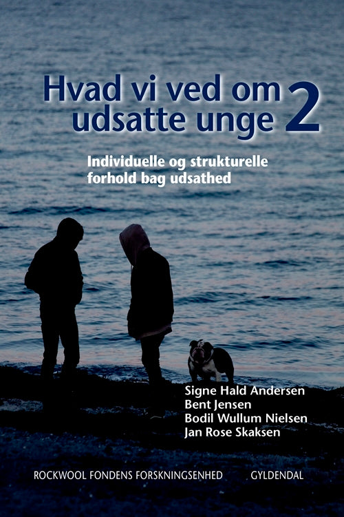 Hvad vi ved om udsatte unge 2
