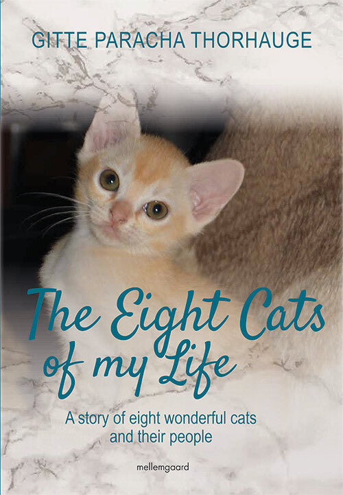 The Eight Cats of my Life