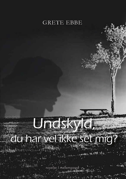 Undskyld, du har vel ikke set mig?