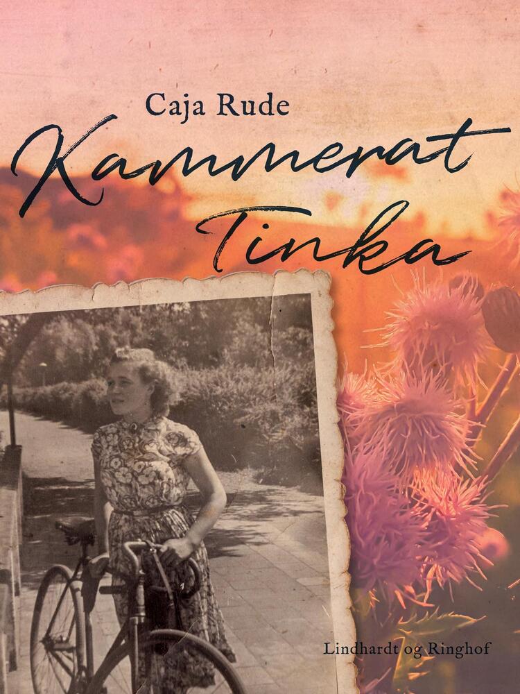 Kammerat Tinka