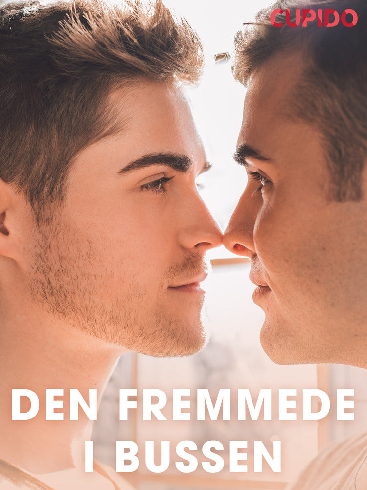 Den fremmede i bussen