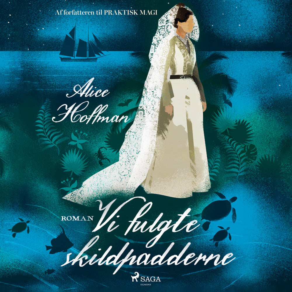 Vi fulgte skildpadderne