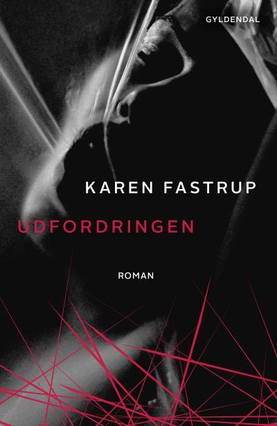 Udfordringen