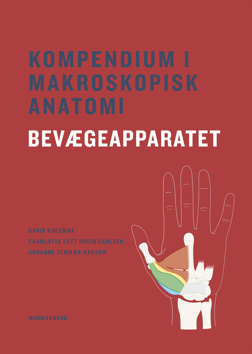 D2 Kompendium i makroskopisk anatomi - bevægeapparatet