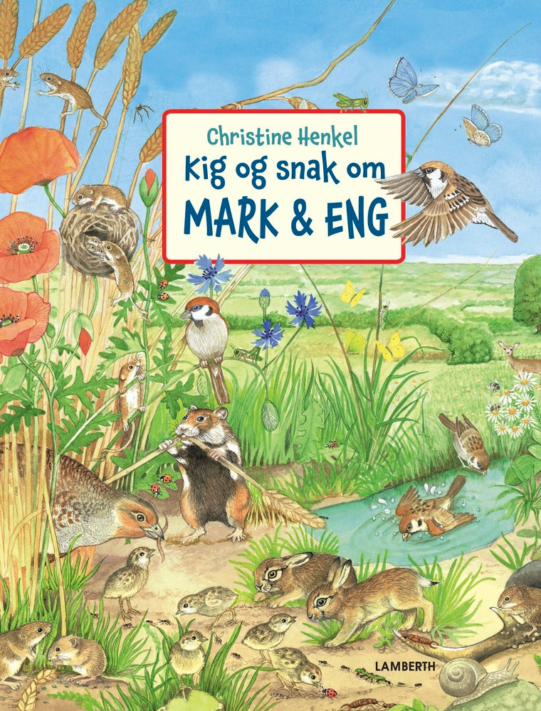 Kig og snak om mark og eng