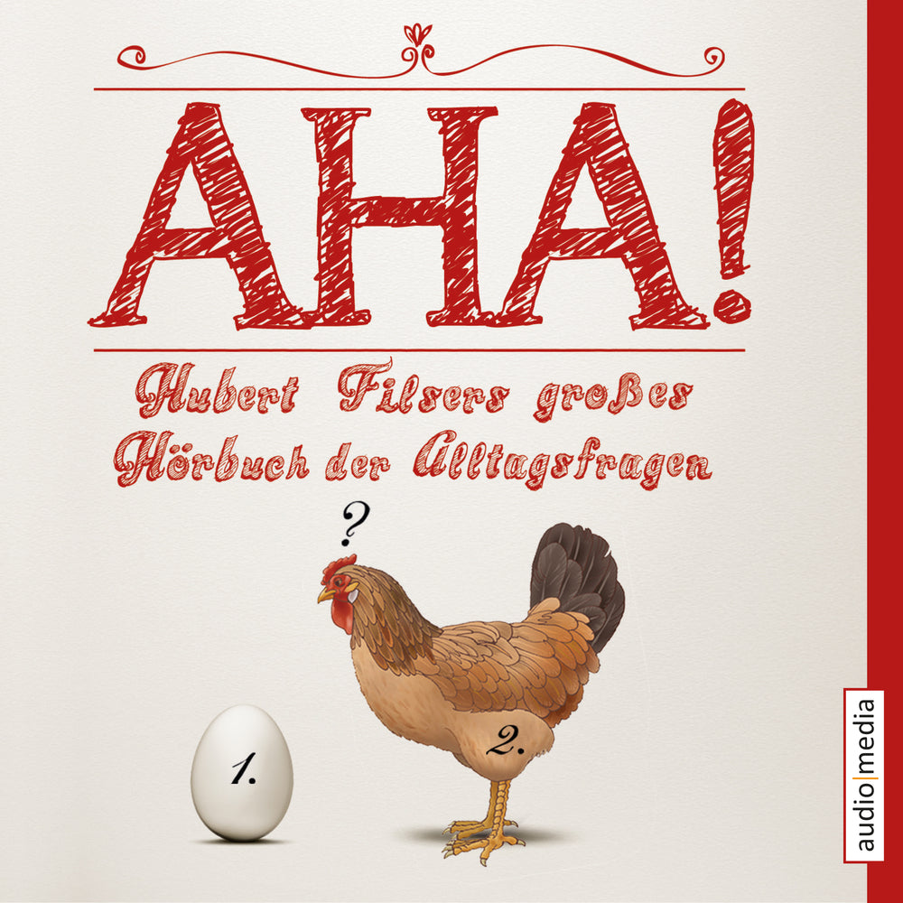 AHA! Hubert Filsers großes Hörbuch der Alltagsfragen