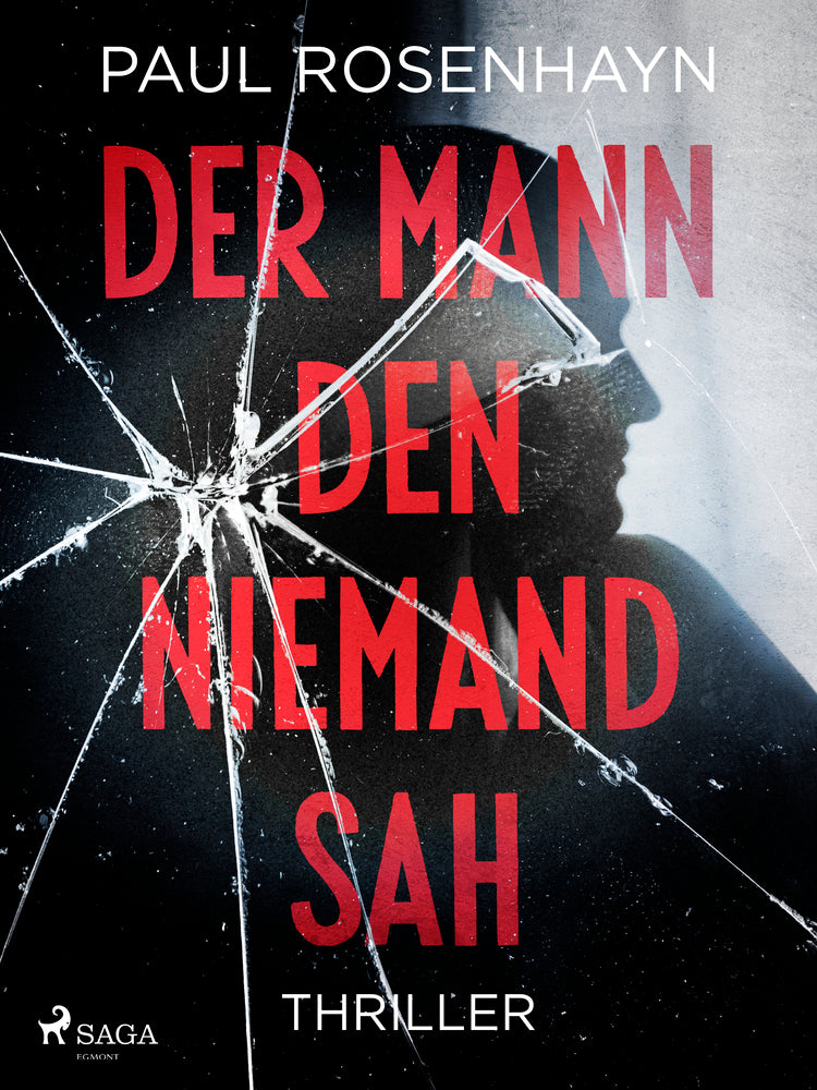 Der Mann, den niemand sah - Thriller