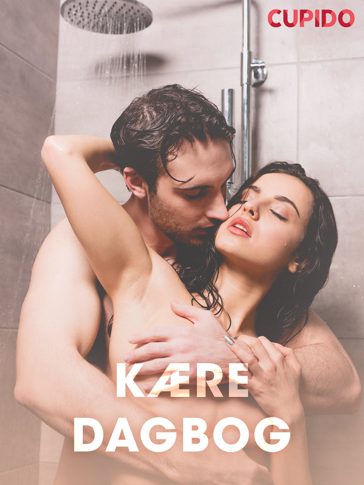 Kære dagbog – erotiske noveller