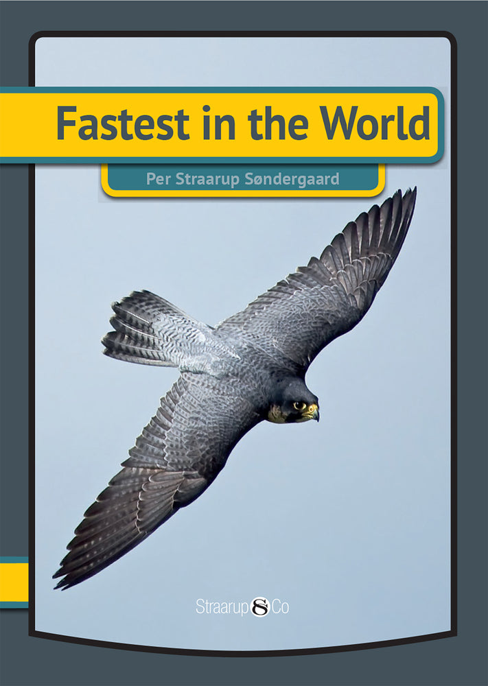Fastest in the World