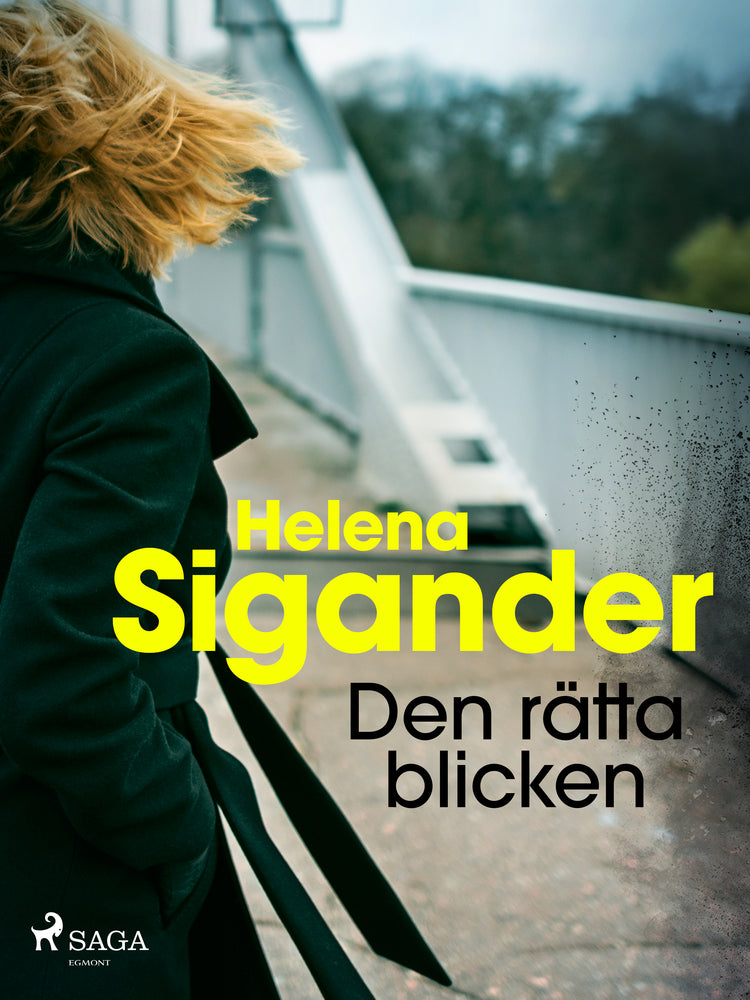 Den rätta blicken