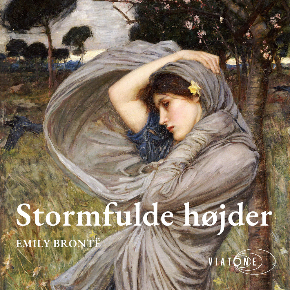 Stormfulde højder