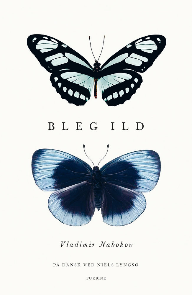 Bleg ild