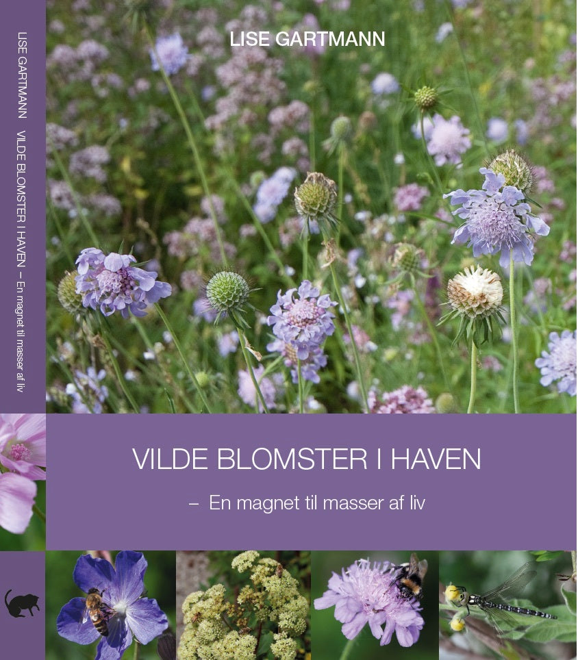 Vilde blomster i haven