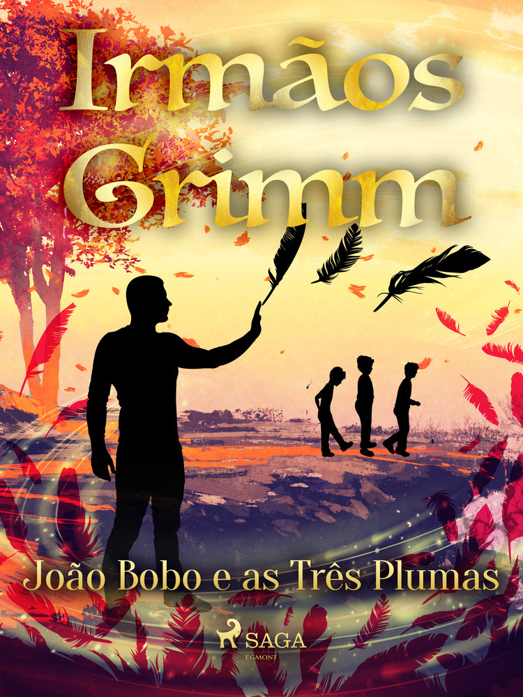 João Bobo e as Três Plumas