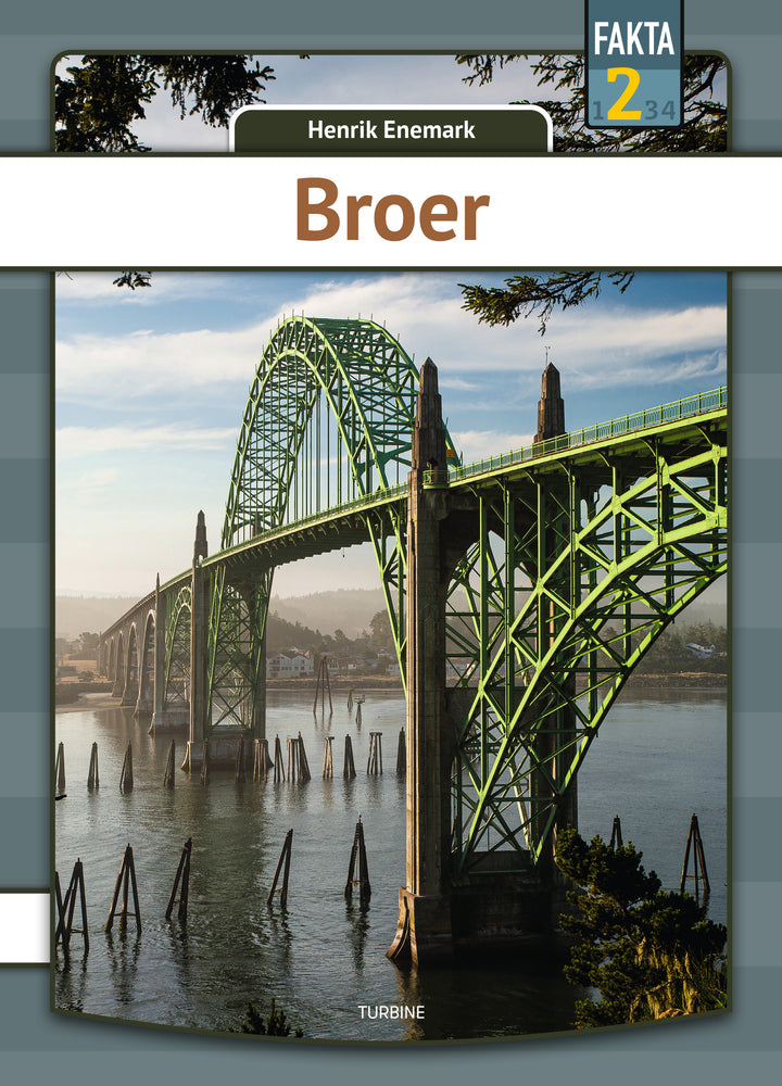 Broer