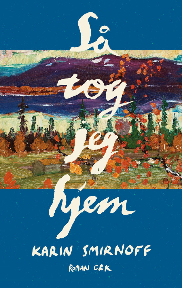 Så tog jeg hjem