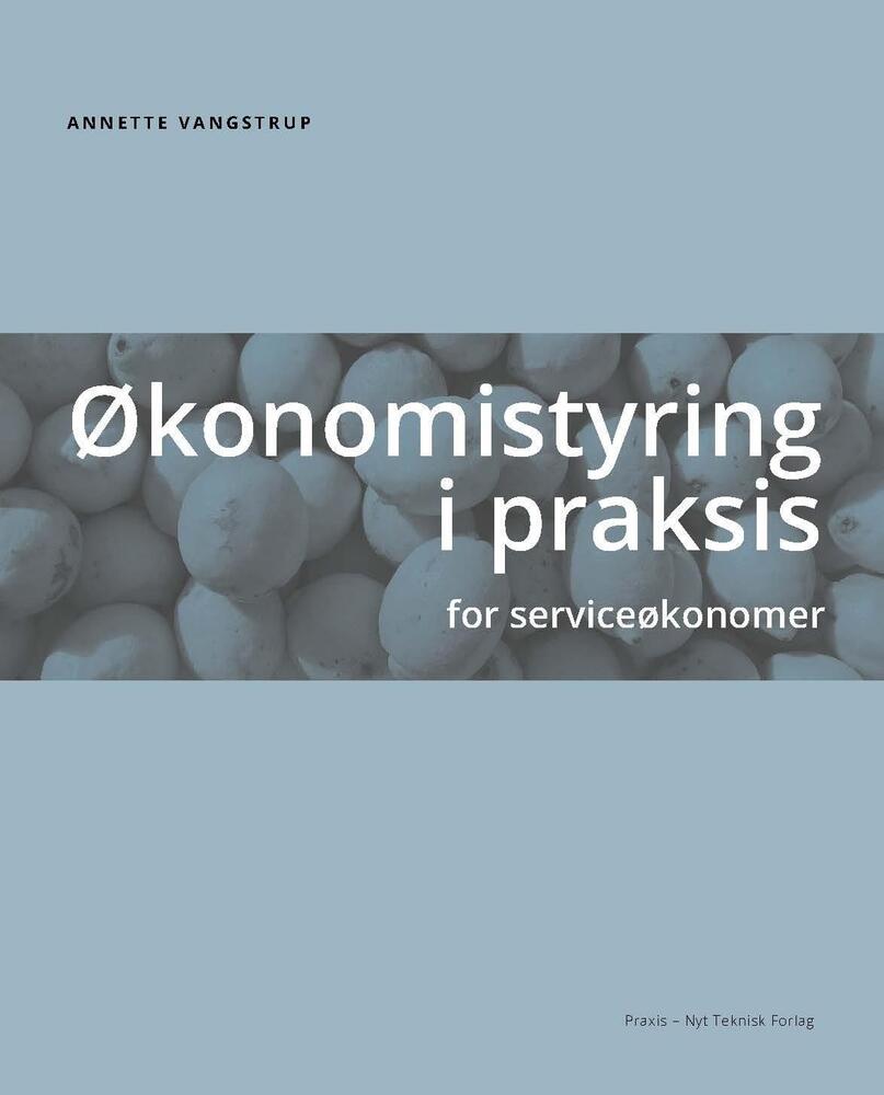 Økonomistyring i praksis