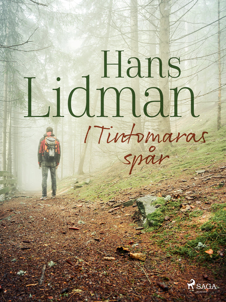 I Tintomaras spår