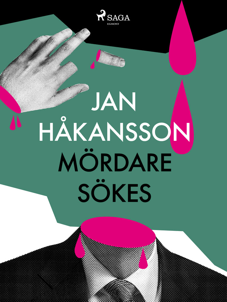 Mördare sökes