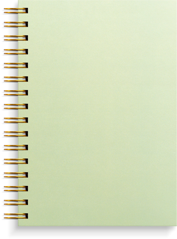 D2 Notesbog A5 green pattern 150 linjeret sider