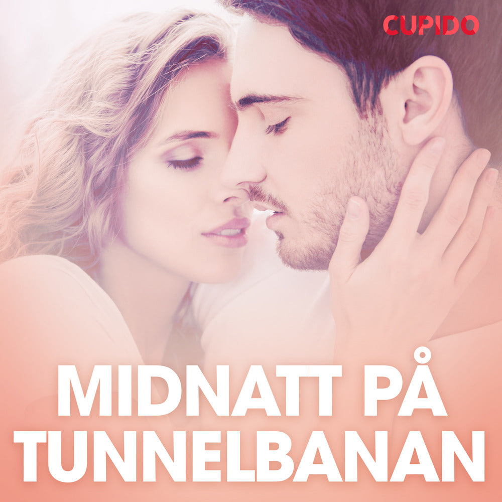 Midnatt på tunnelbanan – erotiska noveller