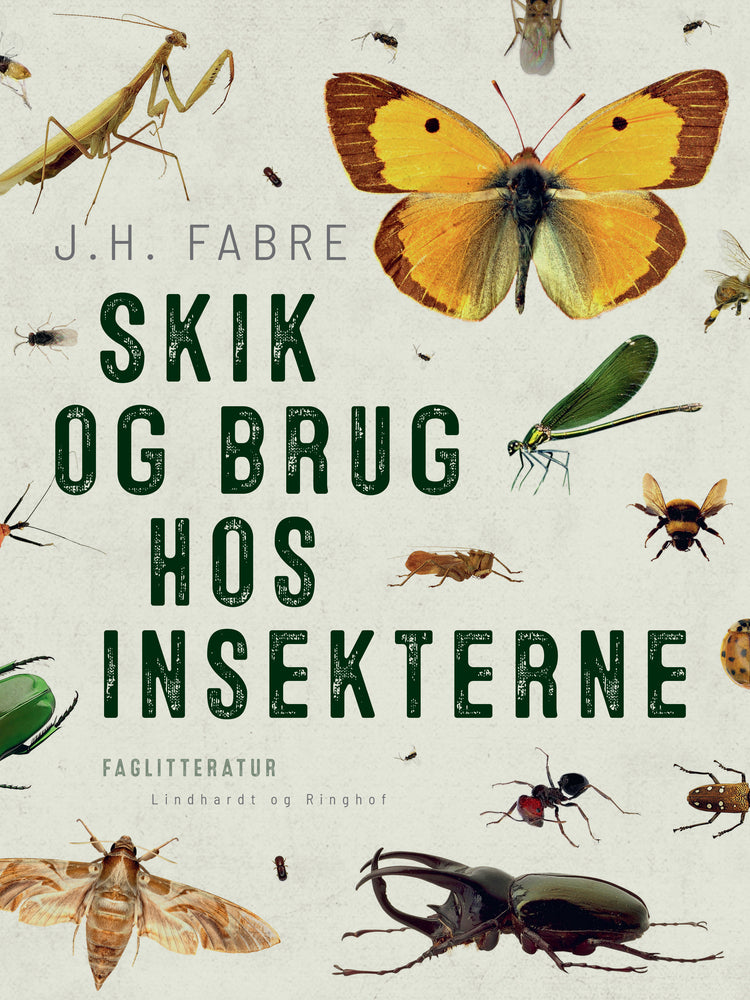 Skik og brug hos insekterne