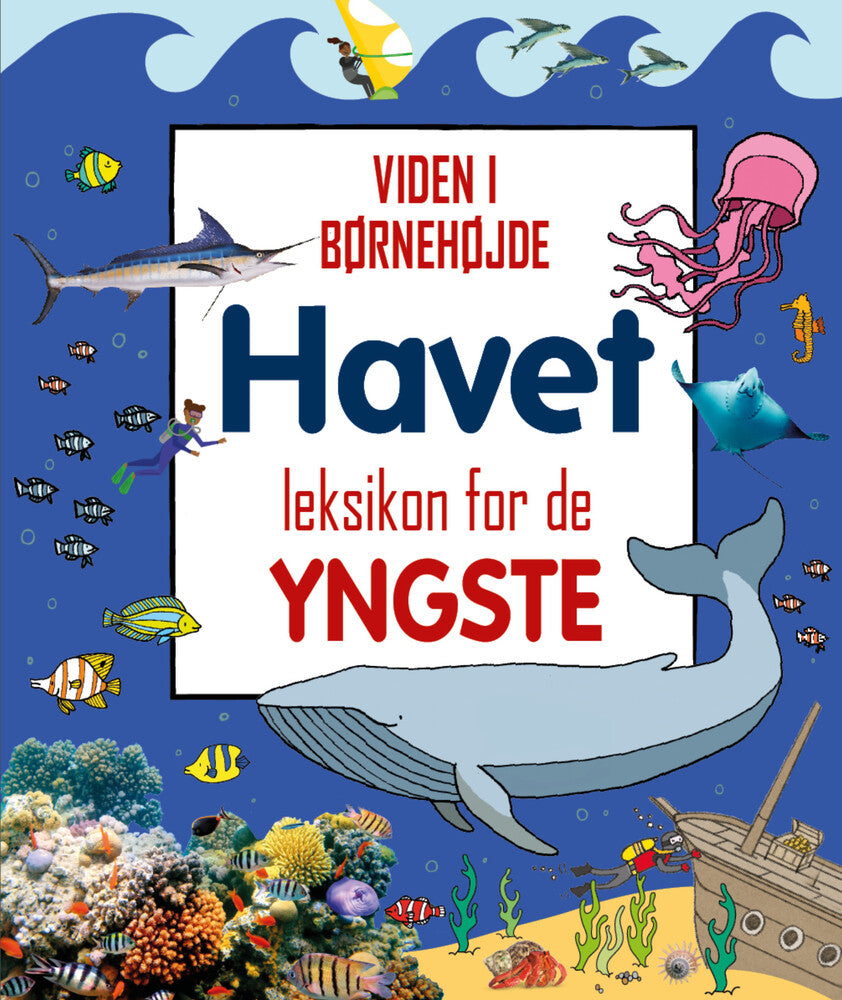 Havet - leksikon for de yngste