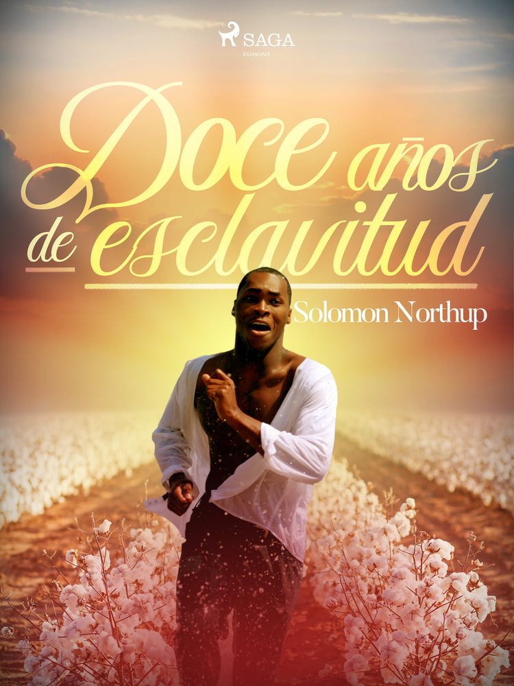 Doce años de esclavitud