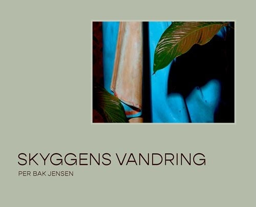 Skyggens vandring