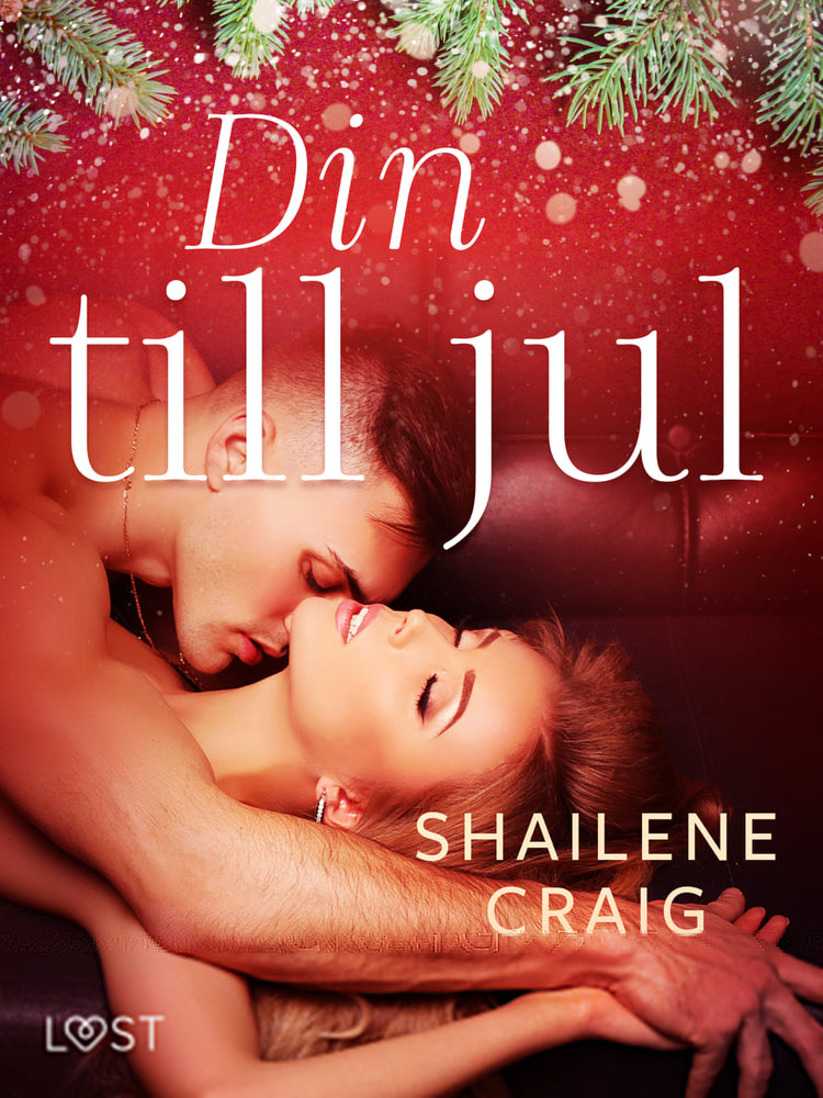 Din till jul - erotisk julnovell