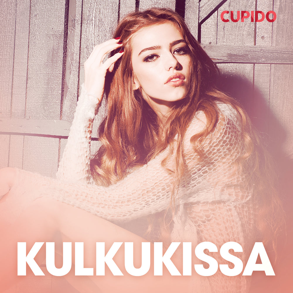 Kulkukissa – eroottinen novelli