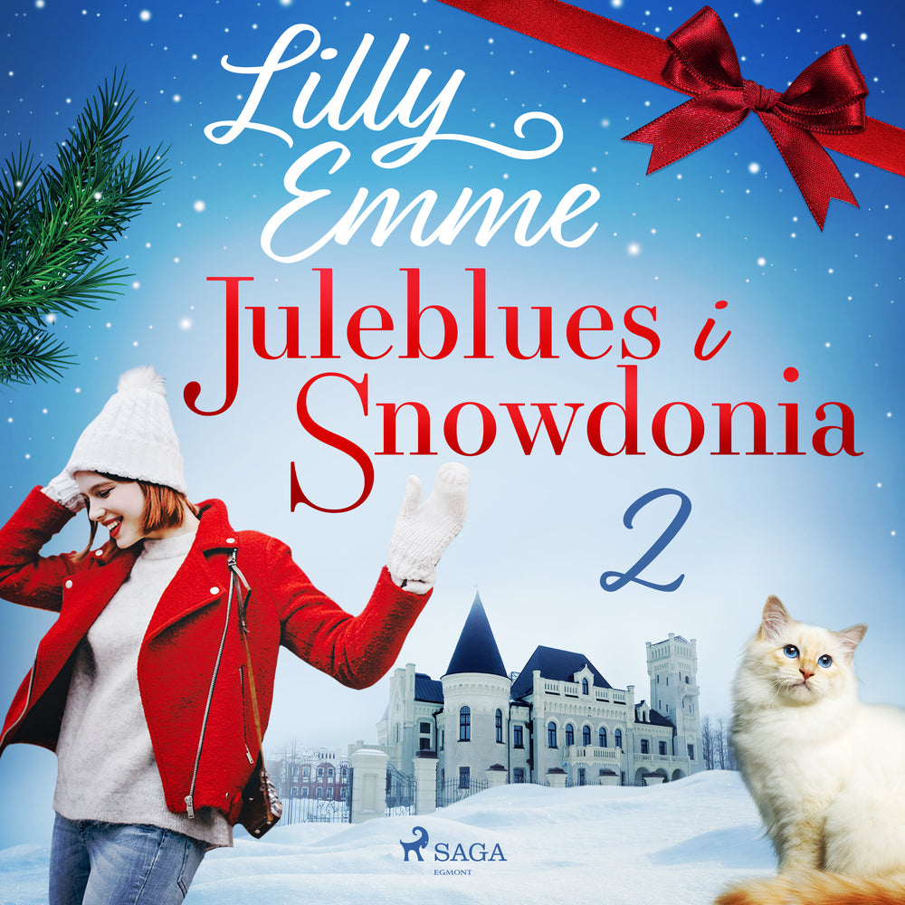 Juleblues i Snowdonia: 2