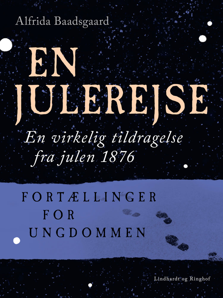 En julerejse. En virkelig tildragelse fra julen 1876. Fortællinger for ungdommen