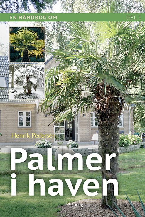 PALMER I HAVEN