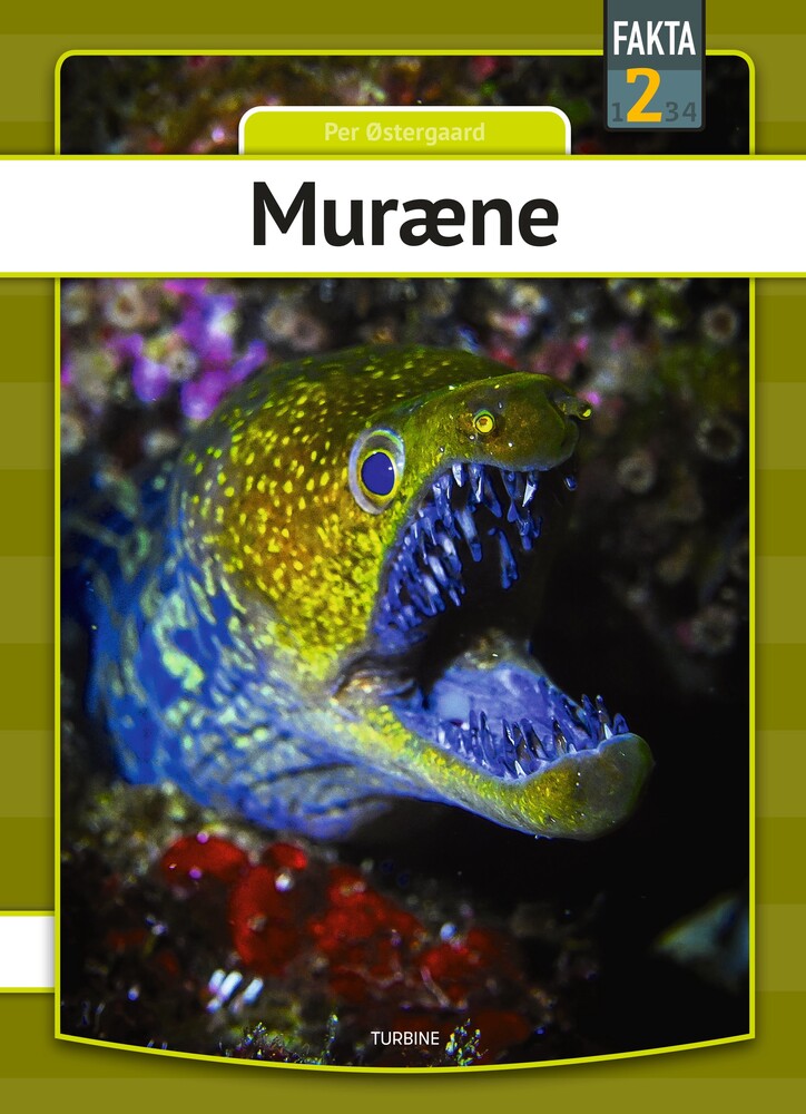 Muræne